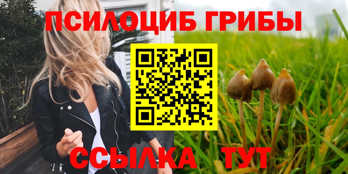Псилоцибиновые грибы мухоморы Гагарин