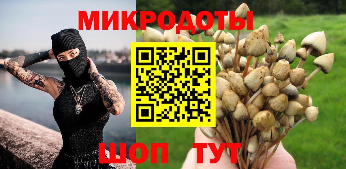 Гагарин  Галлюциногенные грибы GOLDEN TEACHER  Галлюциногенные грибы Cubensis  Вход с VPN 